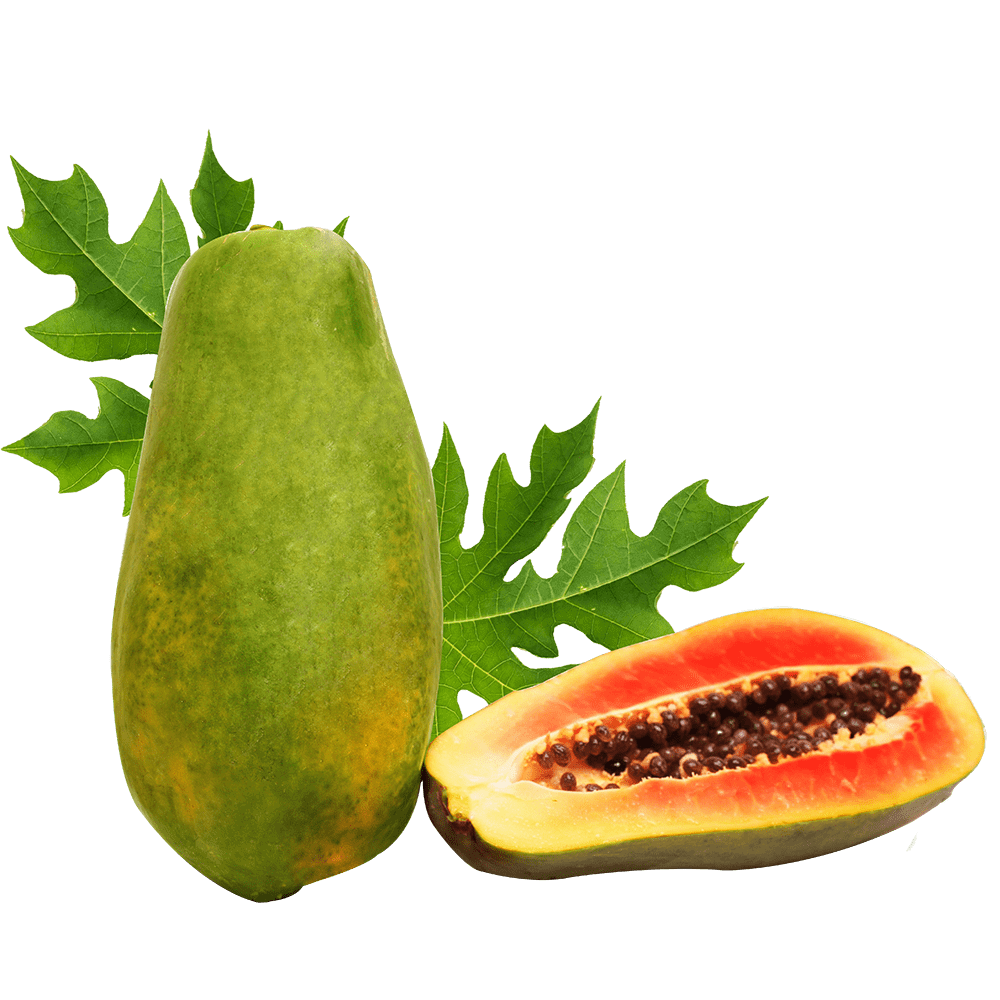 dried-mango-leaf
