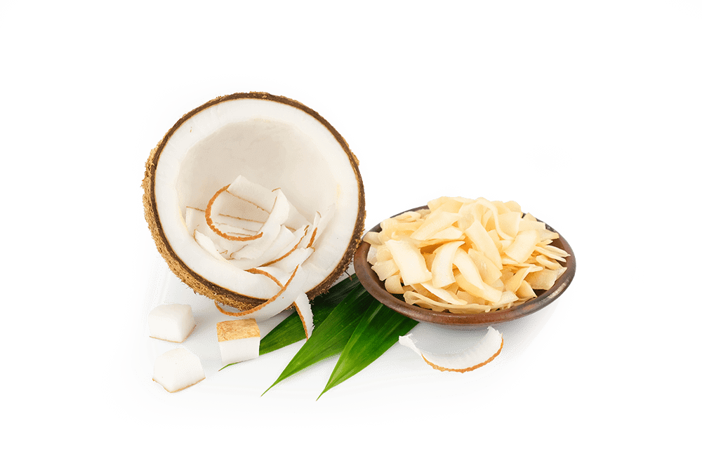 dried-mango-fruit